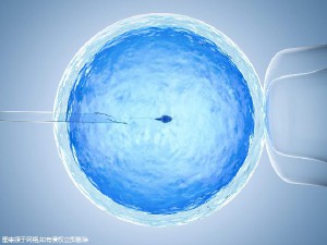 关于素竹生殖